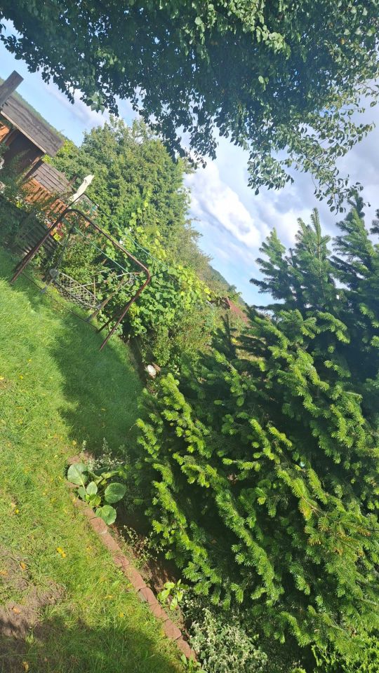 Działka rod Rumia, ul. Kazimierska. Zdjęcie 7