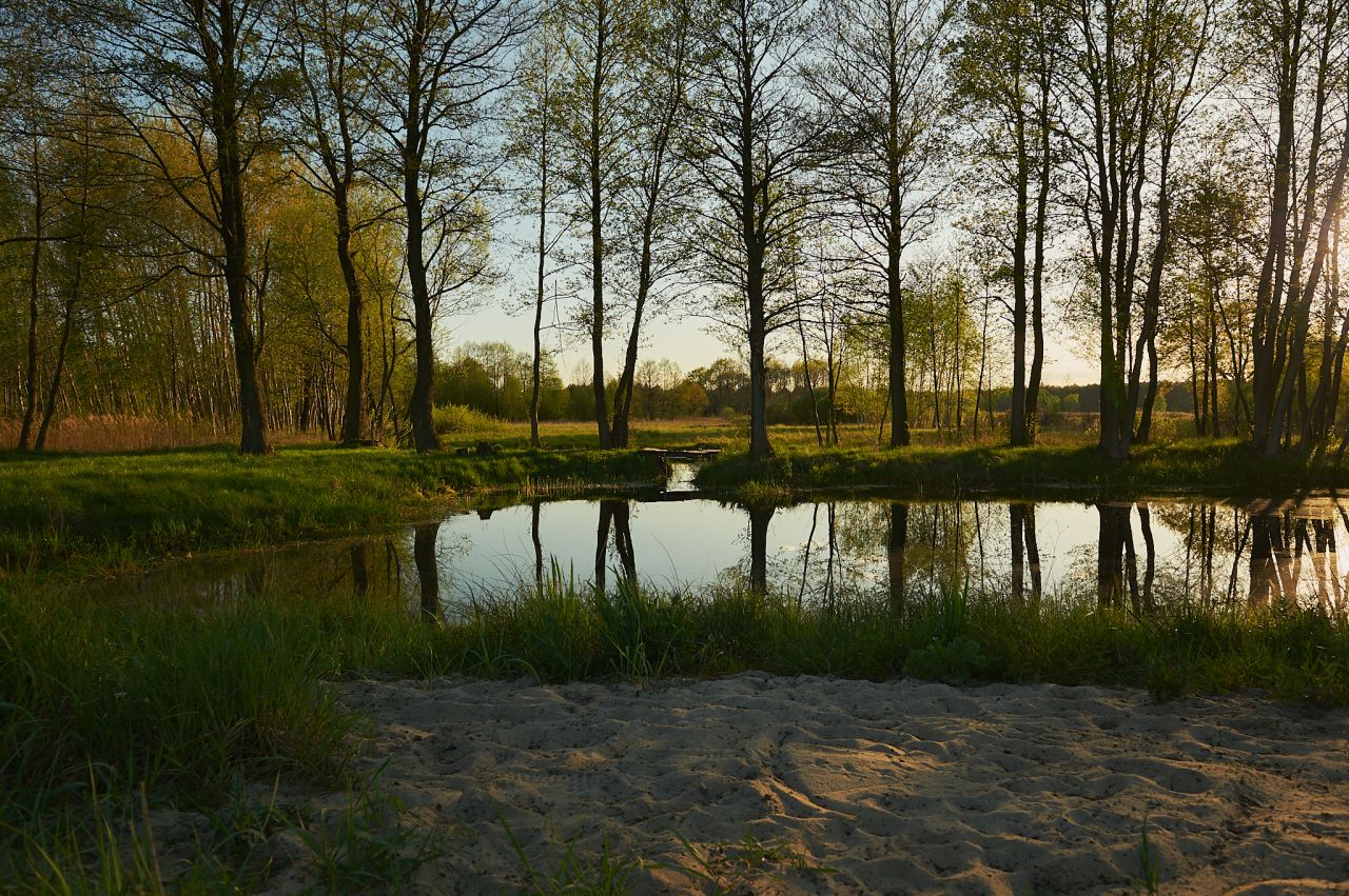 Działka siedliskowa Aleksandrów. Zdjęcie 3