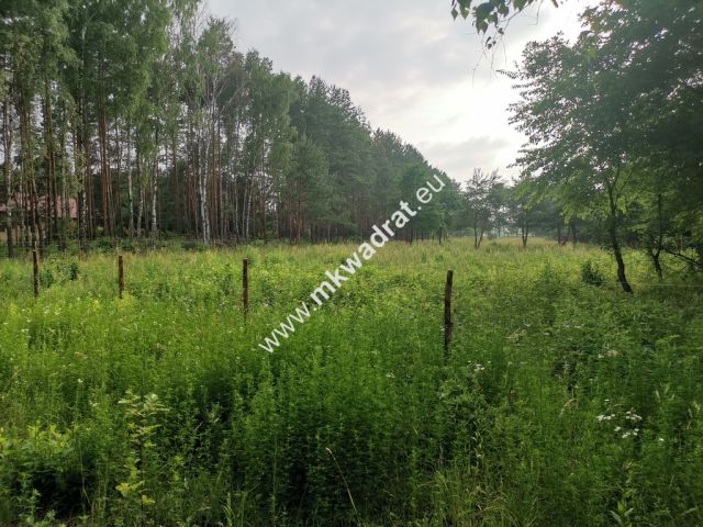 Działka budowlana Mroków. Zdjęcie 4