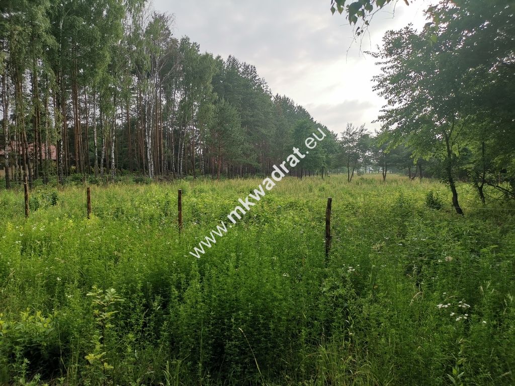 Działka budowlana Mroków. Zdjęcie 4