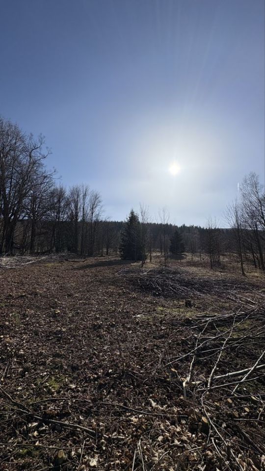 Działka budowlana Świeradów-Zdrój, ul. Sudecka. Zdjęcie 5