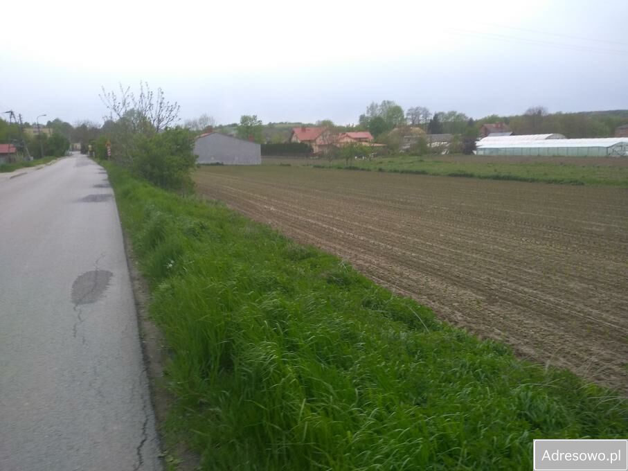 Działka rolna Dwikozy. Zdjęcie 2