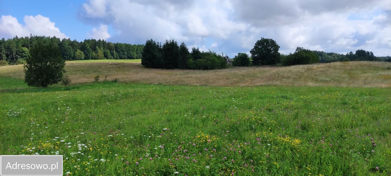 Działka rolna Tłokowo. Zdjęcie 7