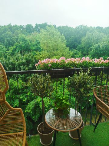 Mieszkanie 4-pokojowe Zielona Góra Centrum, ul. Prosta. Zdjęcie 1