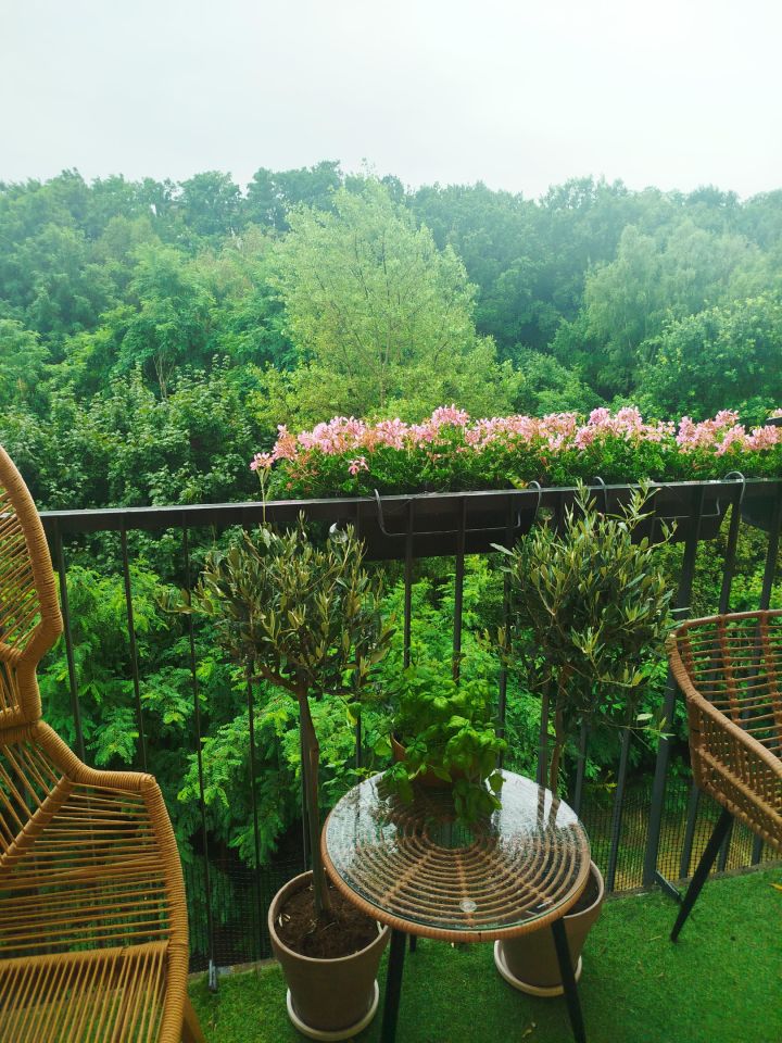 Mieszkanie 4-pokojowe Zielona Góra Centrum, ul. Prosta