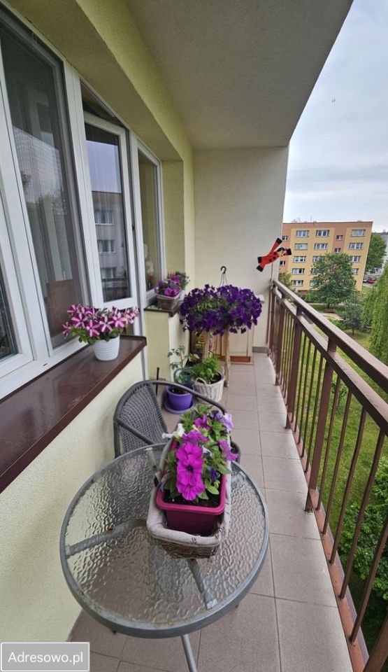 Mieszkanie 3-pokojowe Zielonka, ul. Prymasa Stefana Wyszyńskiego. Zdjęcie 3