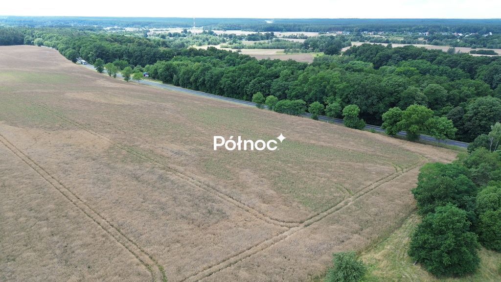 Działka inwestycyjna Dąbrowa Bolesławiecka. Zdjęcie 12