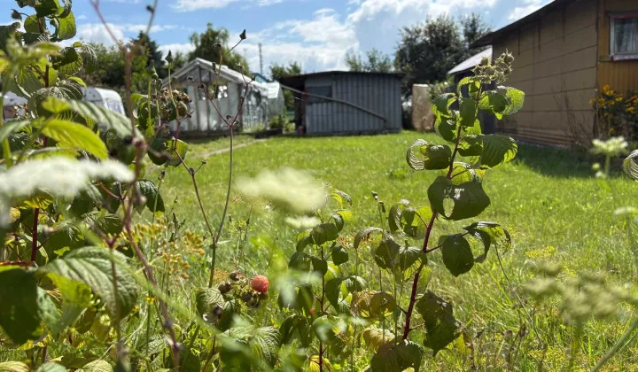 Działka rod Białogard, ul. Wazów