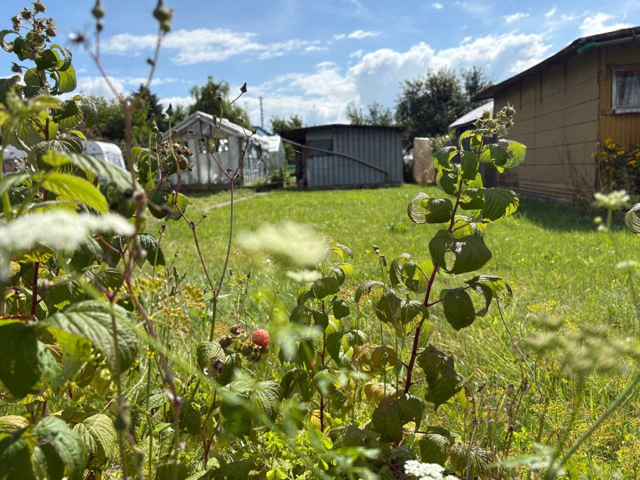 Działka rod Białogard, ul. Wazów. Zdjęcie 1