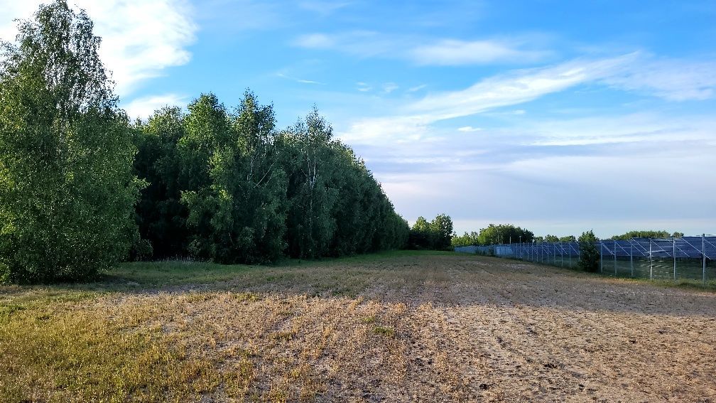 Działka rolna Adamowa Góra. Zdjęcie 4