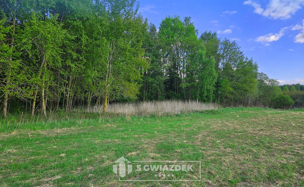 Działka budowlana Ostropole. Zdjęcie 6