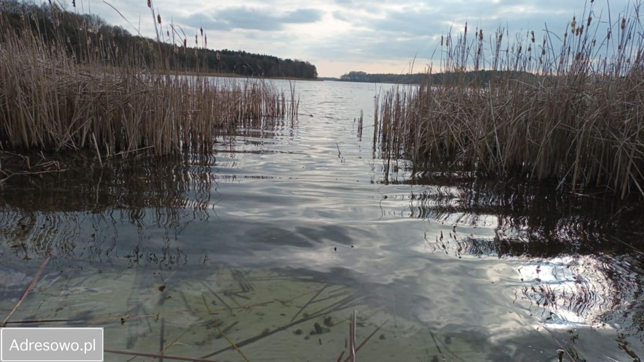 dom wolnostojący, 3 pokoje Wylatkowo. Zdjęcie 12