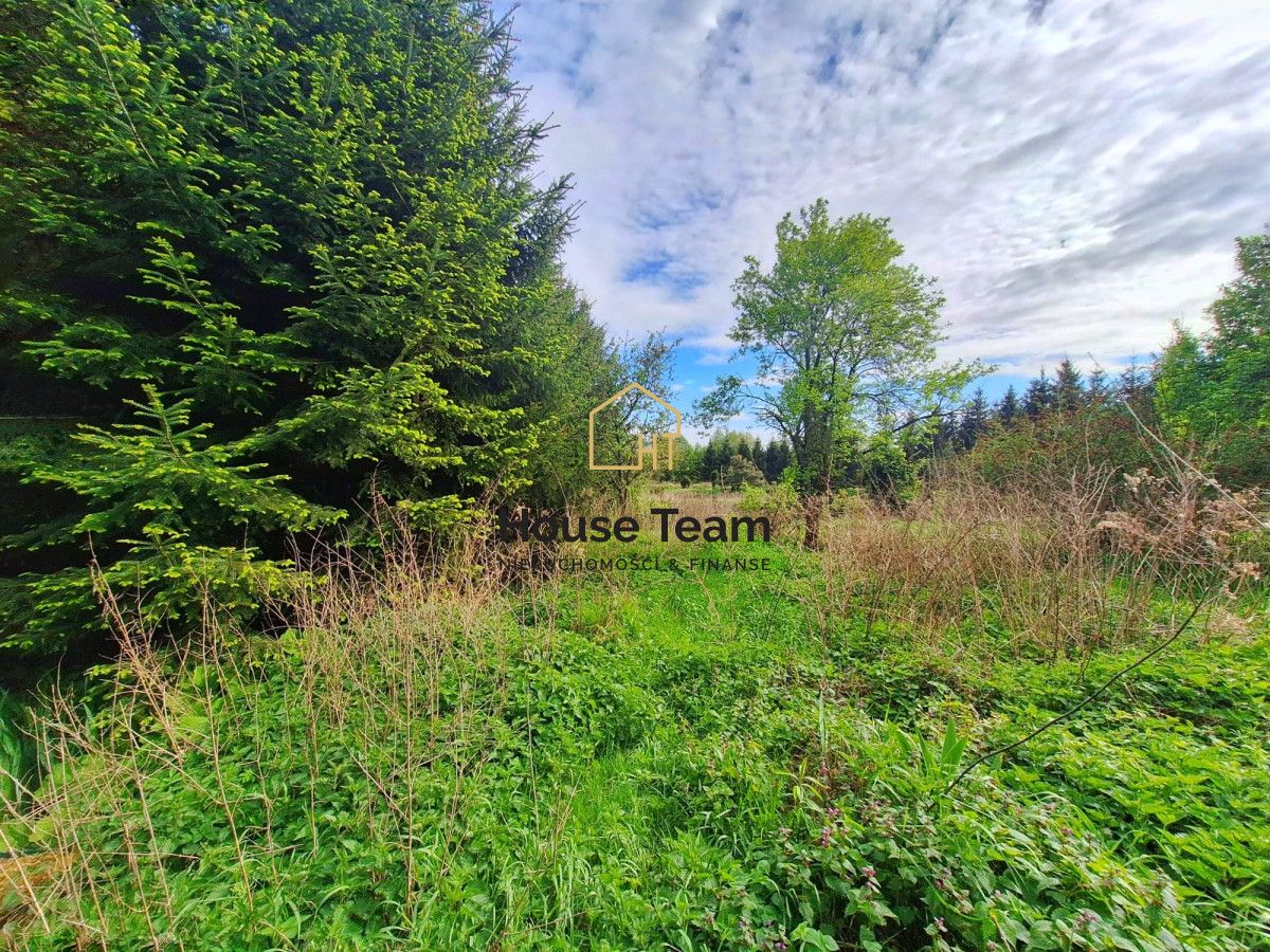 Działka rolna Czarnowo. Zdjęcie 7