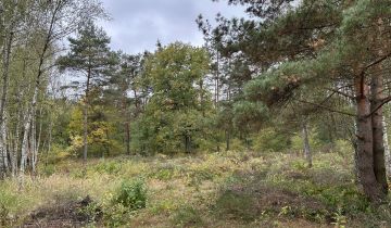 Działka Chotomów, ul. Ekologiczna