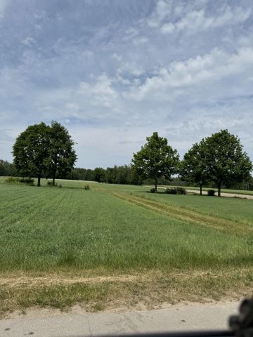Działka budowlana Władysławów. Zdjęcie 1