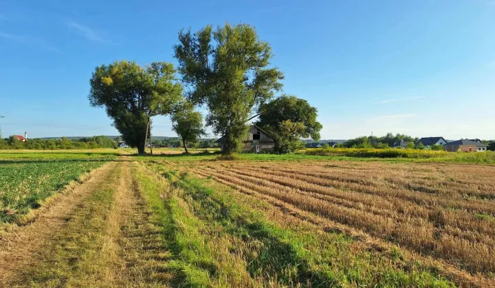 Działka rolna Rzeszów Budziwój, ul. Budziwojska