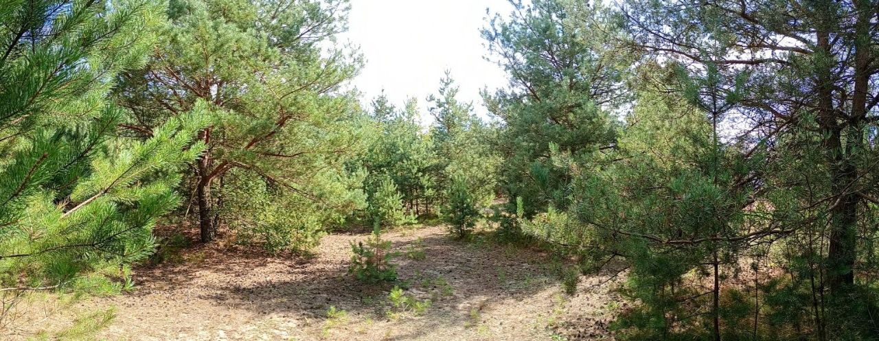 Działka rolno-budowlana Małszyce Bory Małszyckie