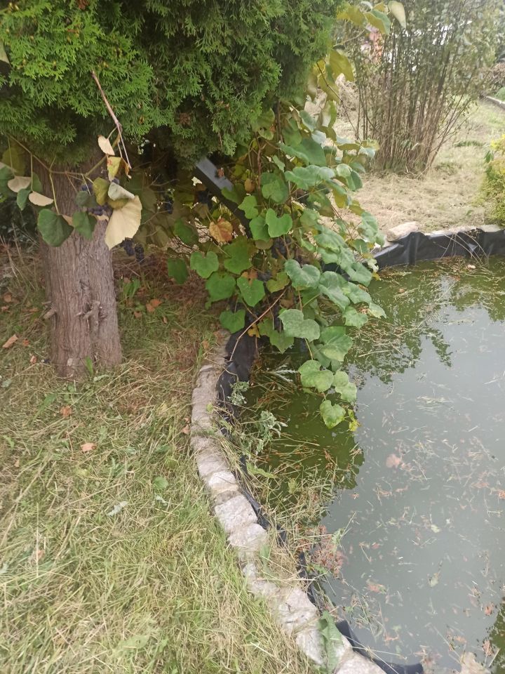 Działka rod Starogard Gdański Centrum, ul. Tczewska. Zdjęcie 13