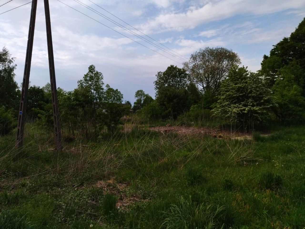 Działka budowlana Darżewo. Zdjęcie 7