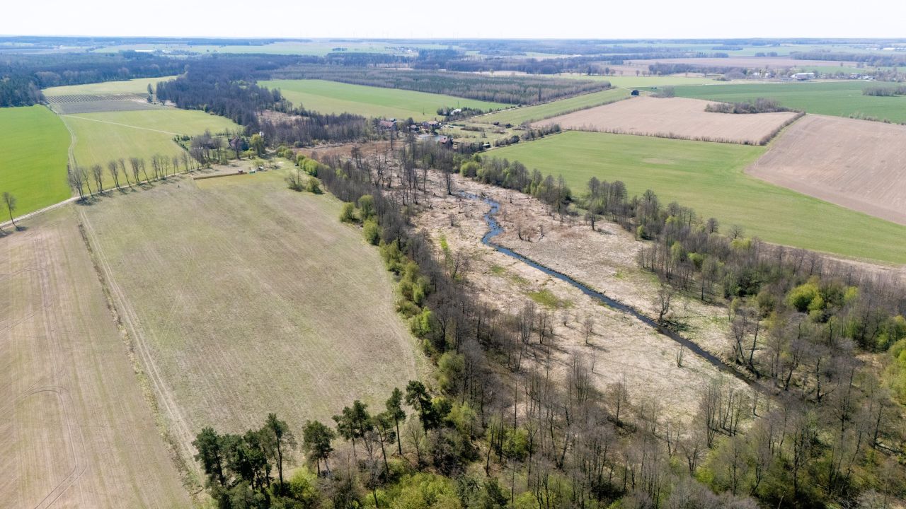 Działka rolno-budowlana Wierzbowo. Zdjęcie 8