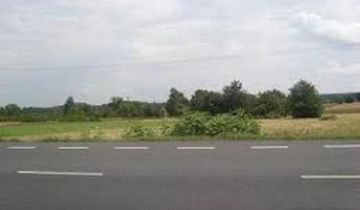 Działka rolno-budowlana Łódź Bałuty, ul. Strykowska 219
