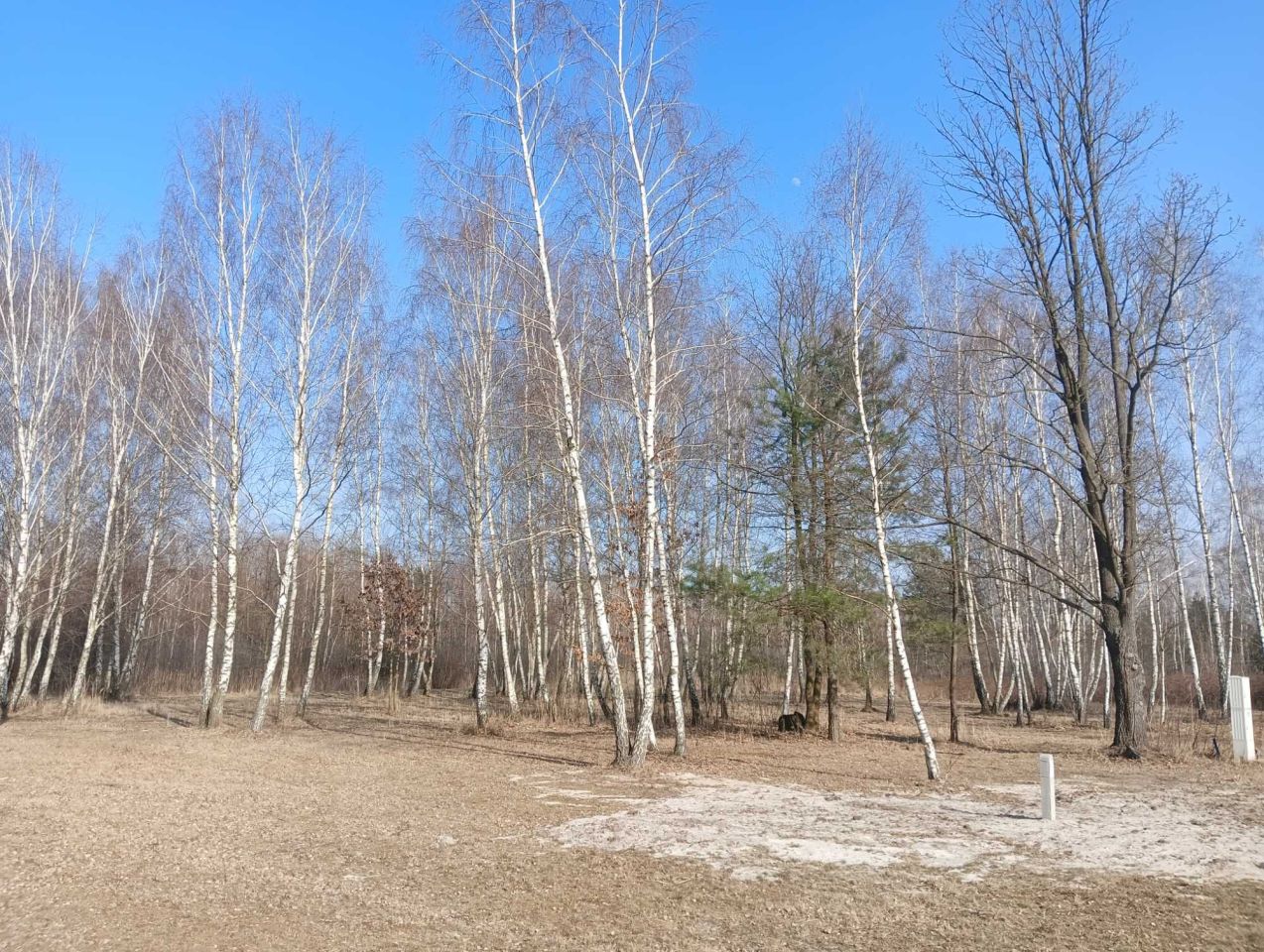 Działka budowlana Radziwiłłów. Zdjęcie 4