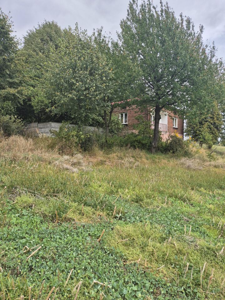 dom wolnostojący, 3 pokoje Blinów Drugi. Zdjęcie 3