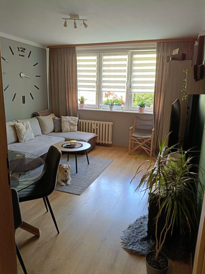 Mieszkanie 2-pokojowe Ostróda, ul. 21 Stycznia. Zdjęcie 5