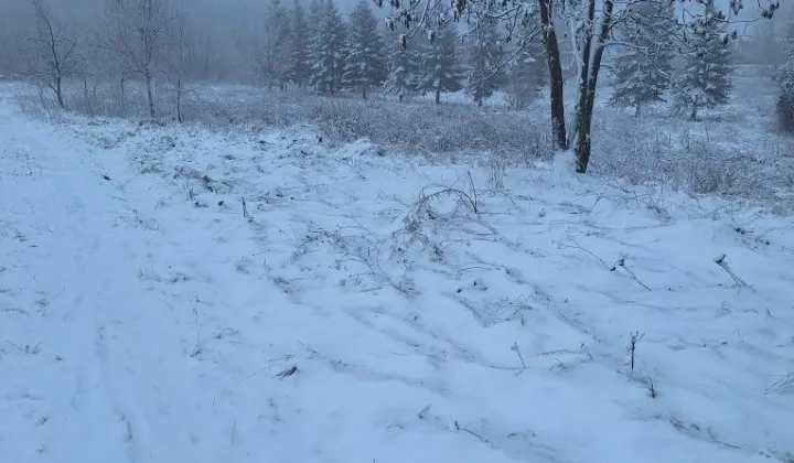 Działka rolno-budowlana Gostków