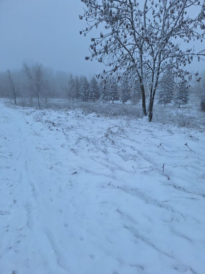 Działka rolno-budowlana Gostków. Zdjęcie 1