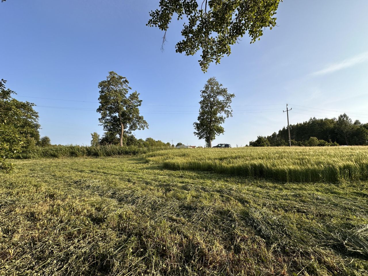 Działka budowlana Pomianowo. Zdjęcie 4