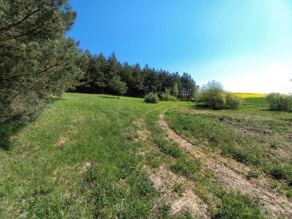 Działka siedliskowa Nowy Targ. Zdjęcie 2