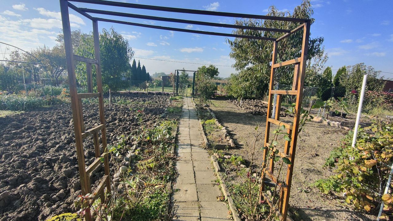 Działka rod Gurostwo. Zdjęcie 5