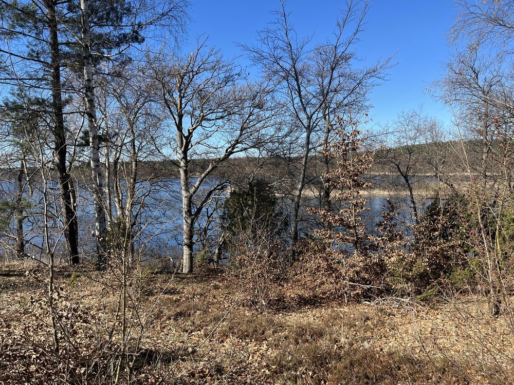 Działka rolna Zabrody. Zdjęcie 2