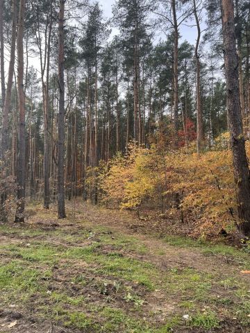 Działka budowlana Sulejówek, ul. Muzyczna. Zdjęcie 1