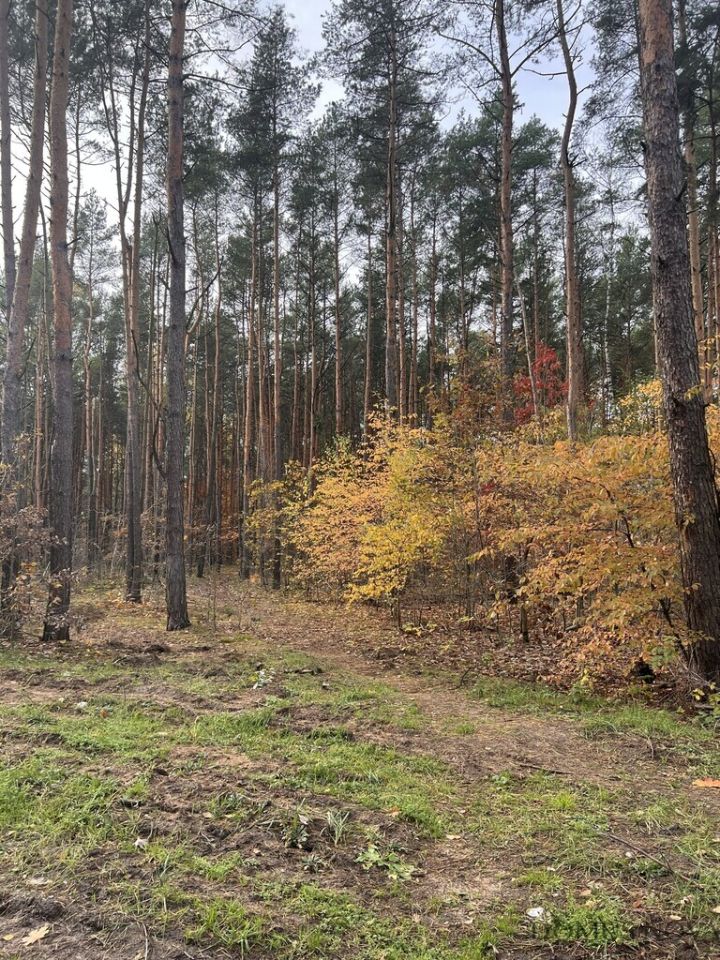 Działka budowlana Sulejówek, ul. Muzyczna. Zdjęcie 1