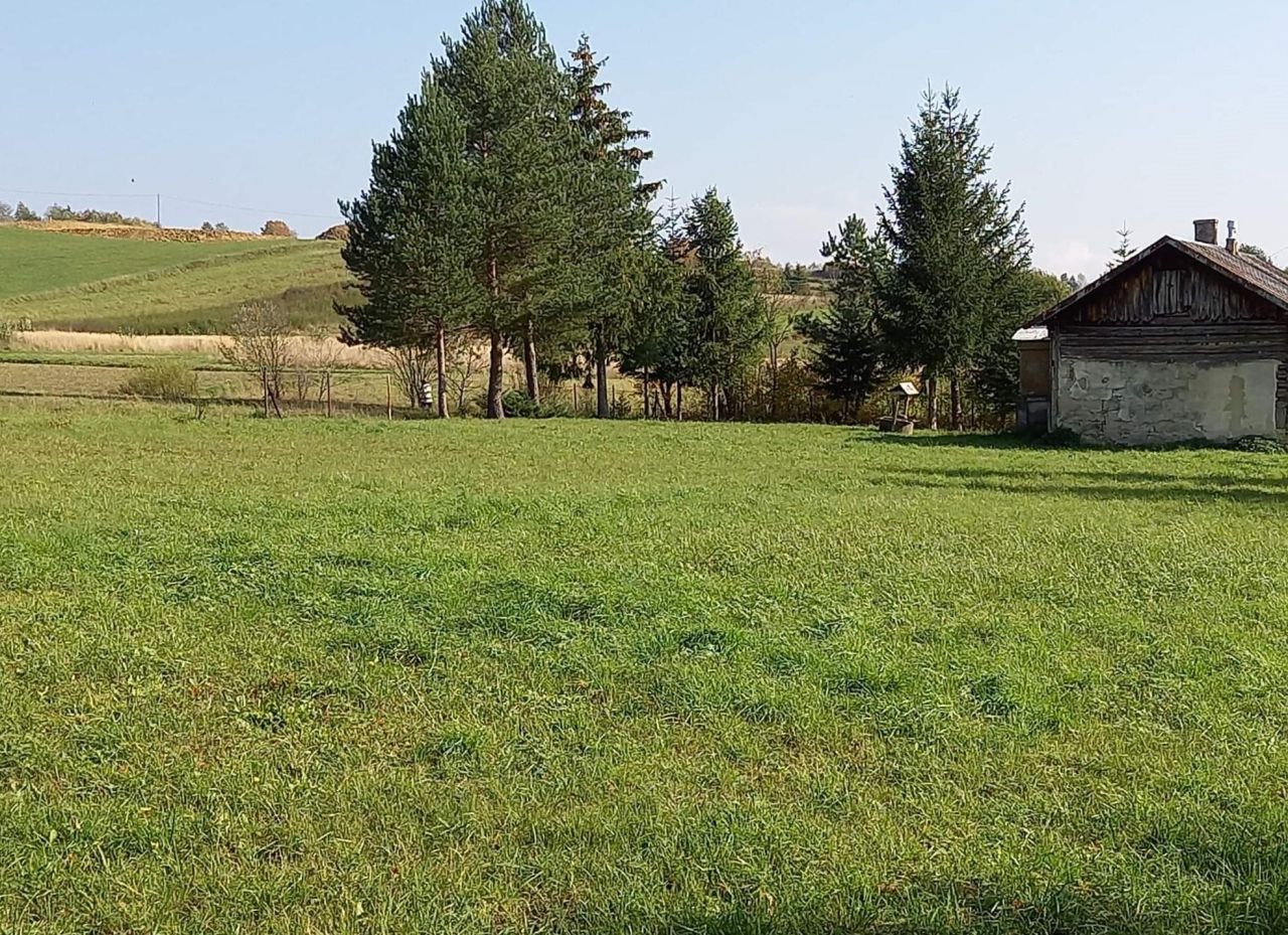 dom wolnostojący, 2 pokoje Sadki. Zdjęcie 6