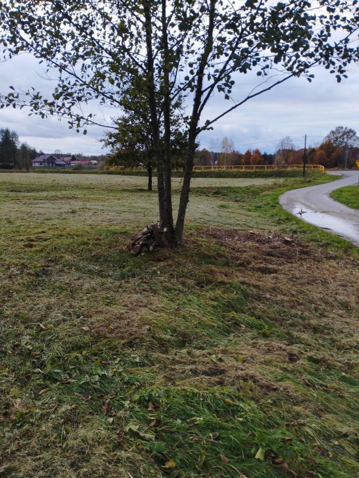 Działka budowlana Dąbrowica. Zdjęcie 2