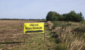 Działka budowlana Krynka