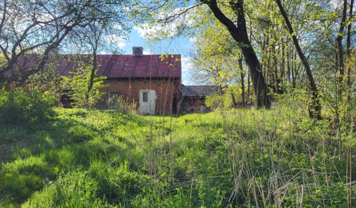 siedlisko Boguszewo, Boguszewo
