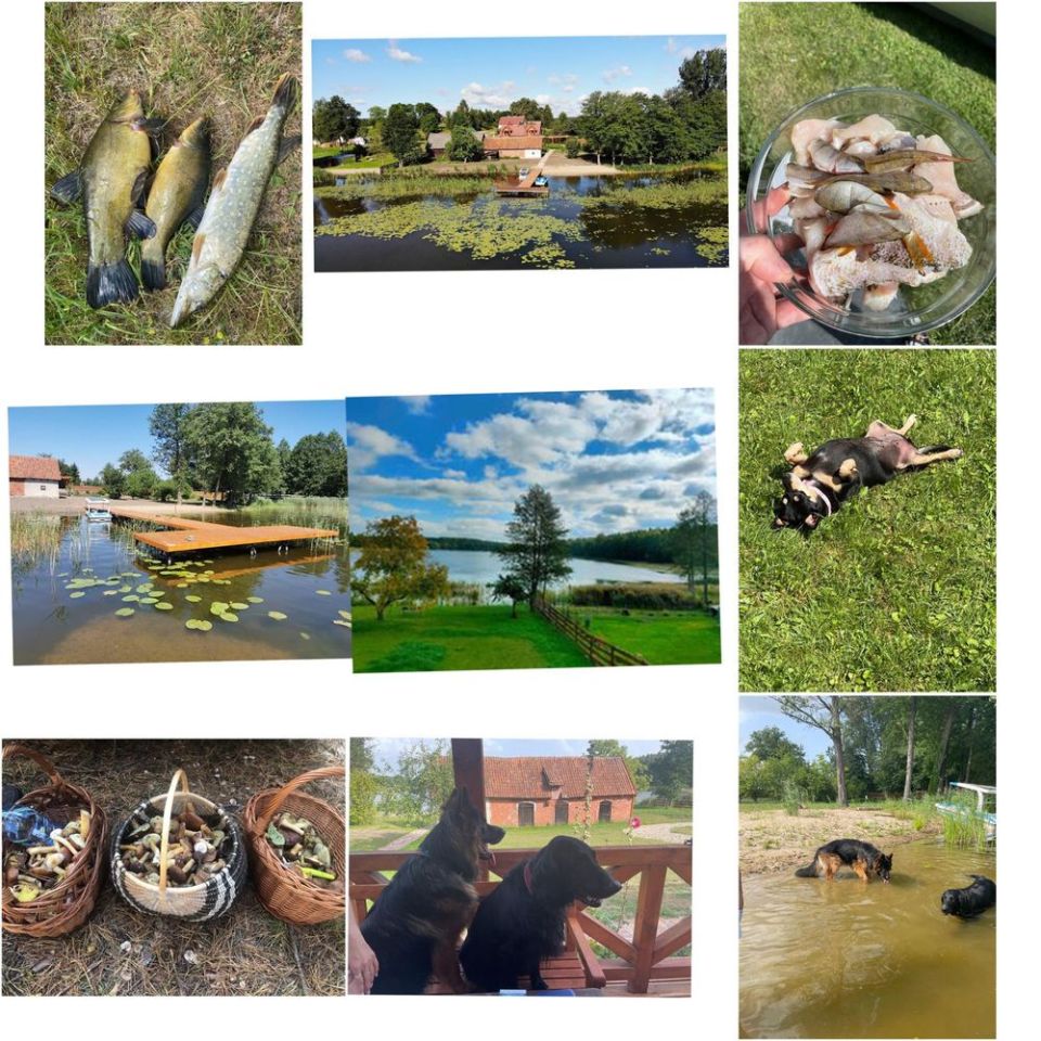 dom wolnostojący Klusy. Zdjęcie 8