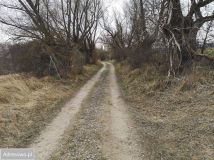 Działka budowlana Lubieszewo. Zdjęcie 1