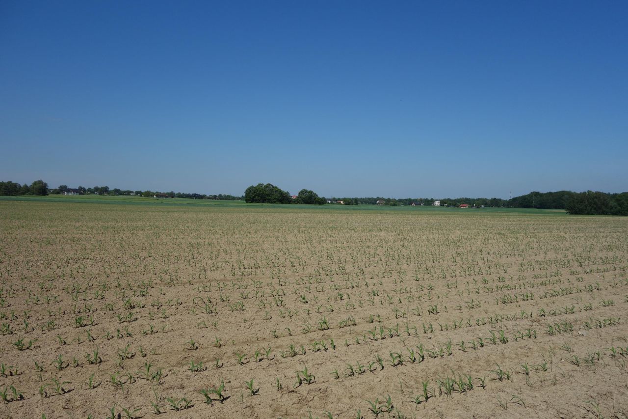 Działka siedliskowa Skoczów. Zdjęcie 3