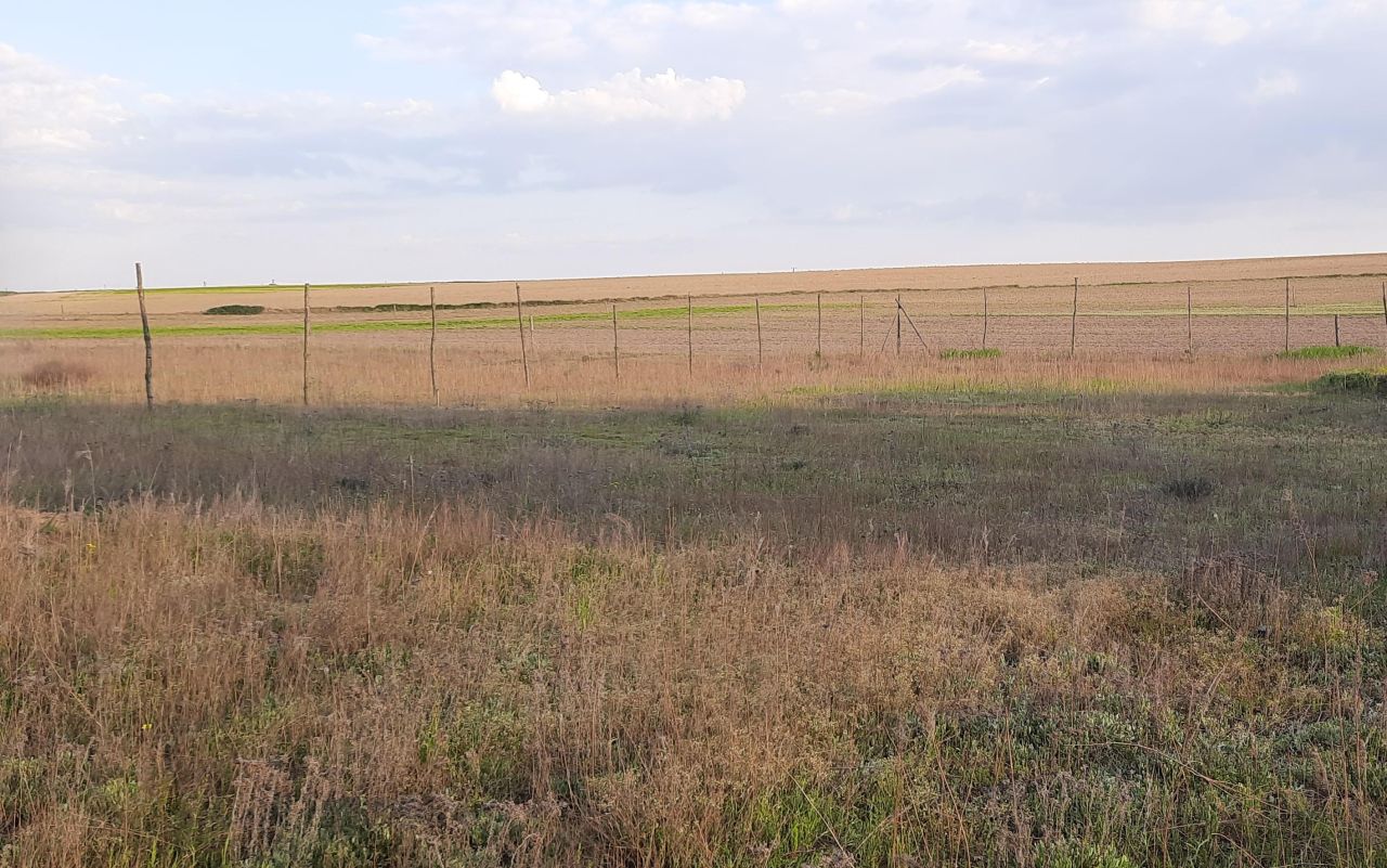 Działka budowlana Sadłogoszcz. Zdjęcie 2