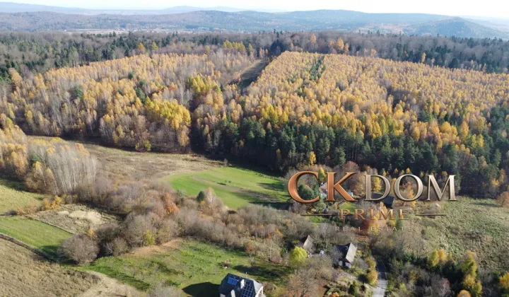 Działka rolna Cisów