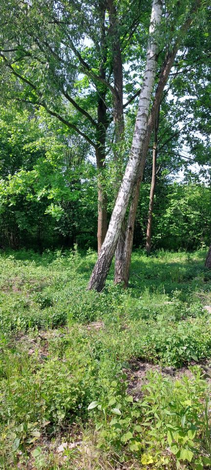 Działka budowlana Radom Krychnowice, Ludwinowska24. Zdjęcie 2