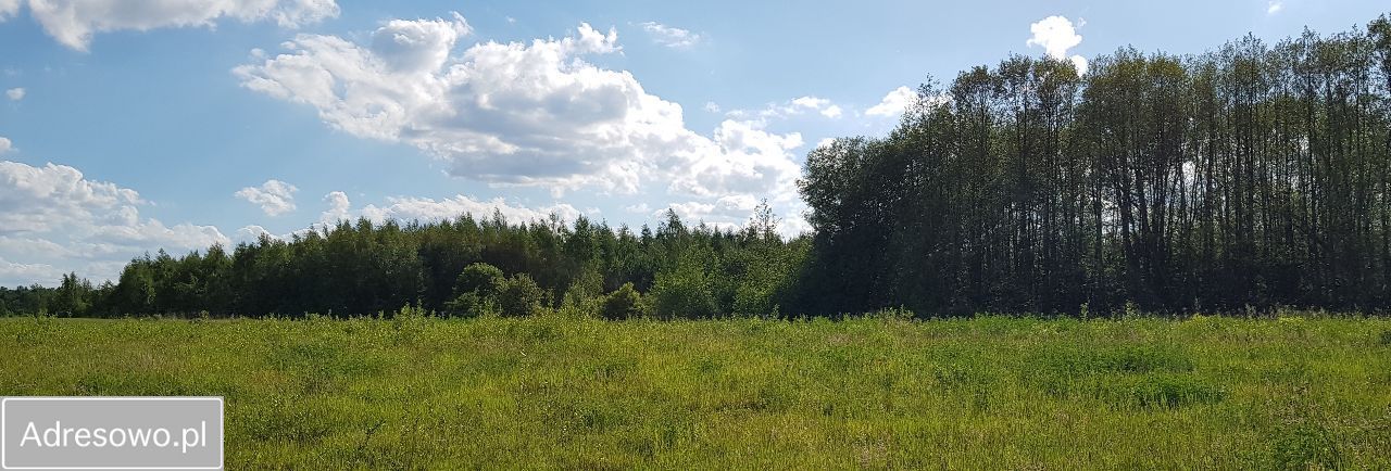 Działka budowlana Młodocin Większy. Zdjęcie 3