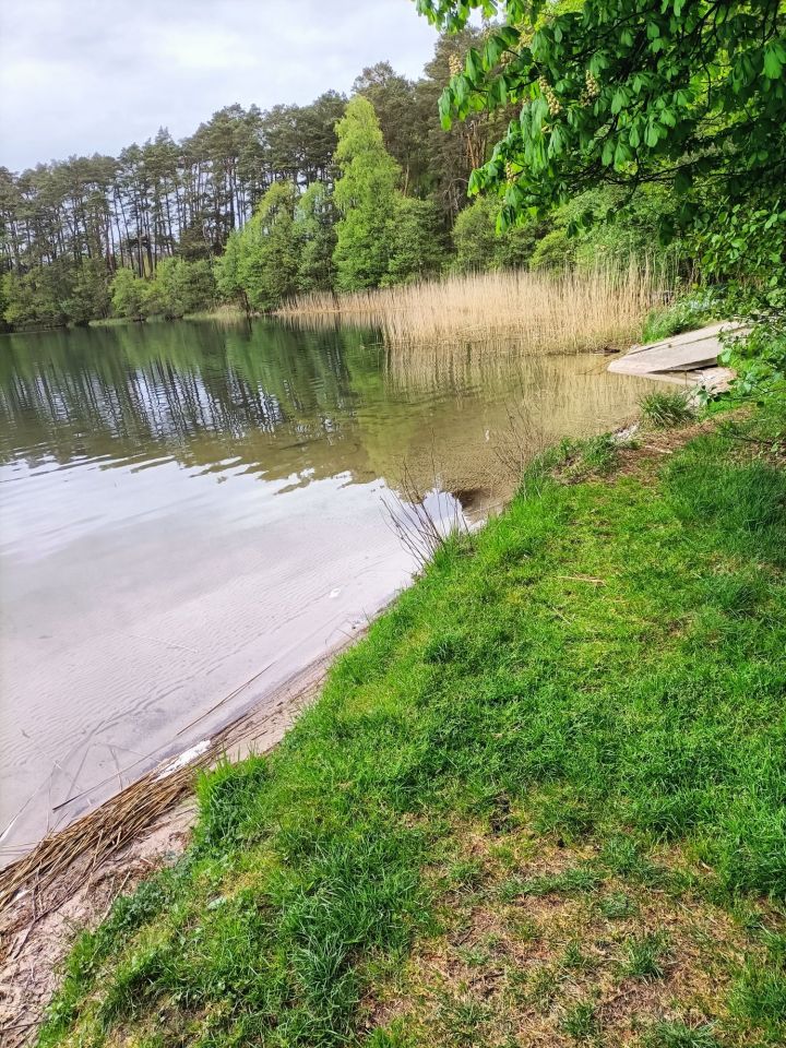 Działka Broda. Zdjęcie 4