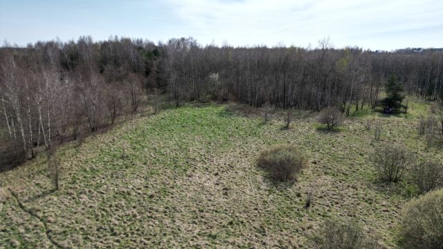 Działka rolna Huta Dłutowska Kapkazy, ul. Polna. Zdjęcie 1