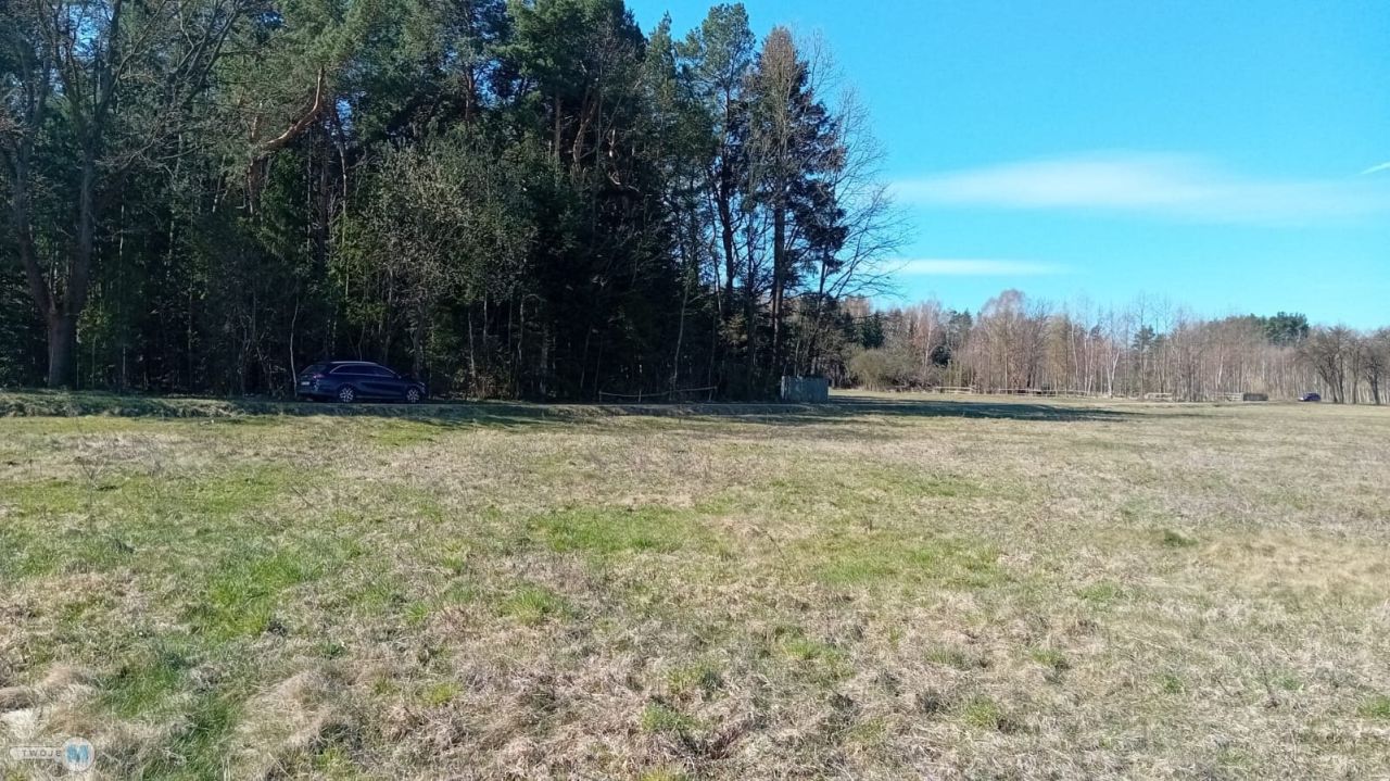 Działka leśna Strawczyn. Zdjęcie 8